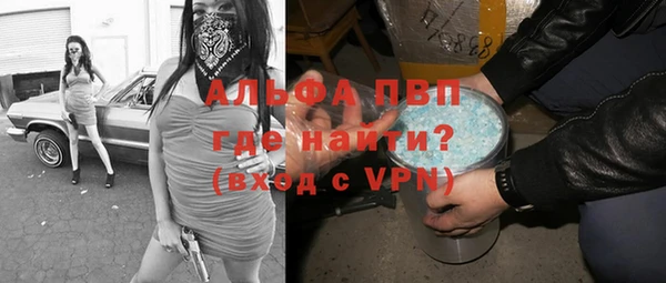 эйфоретик Баксан