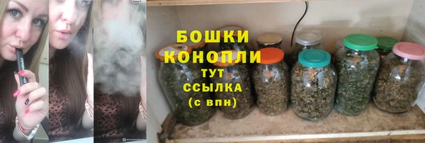 шишки Ростов