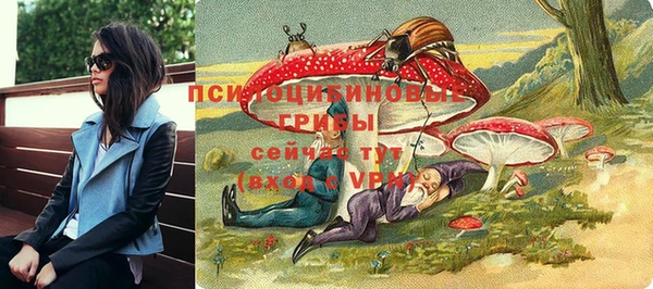 эйфоретик Баксан