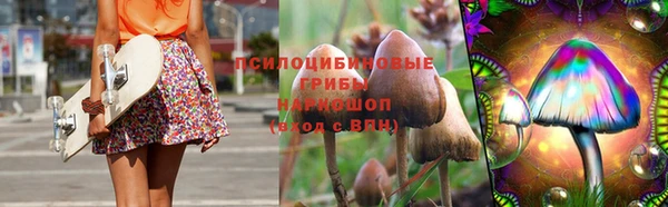 эйфоретик Баксан