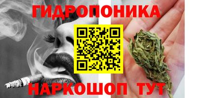 стафф Усть-Илимск