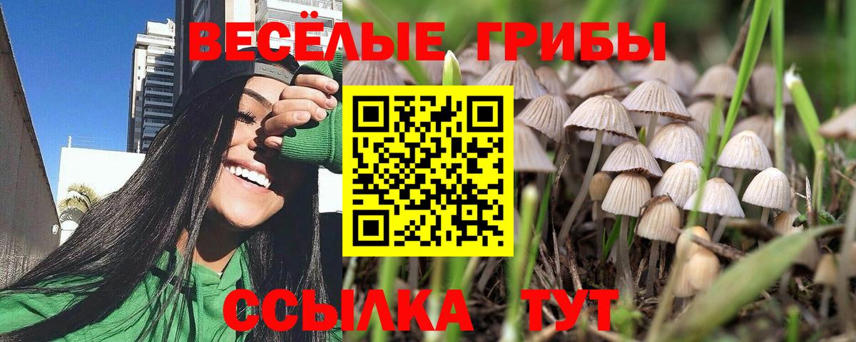 Баксан  Галлюциногенные грибы мухоморы  Вход с VPN  Псилоцибиновые грибы мухоморы 