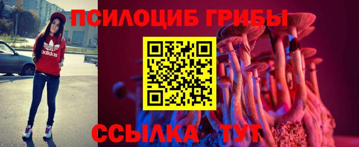 Псилоцибиновые грибы Psilocybine cubensis Баксан
