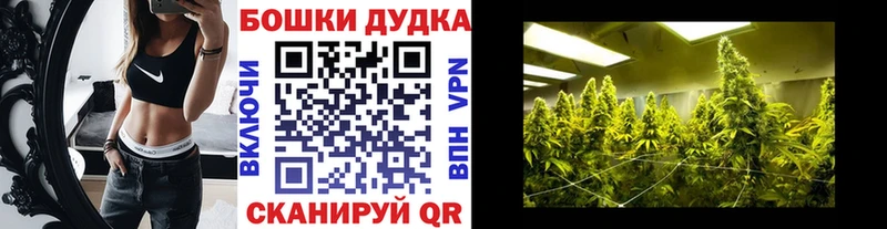 Канабис гибрид  Баксан 