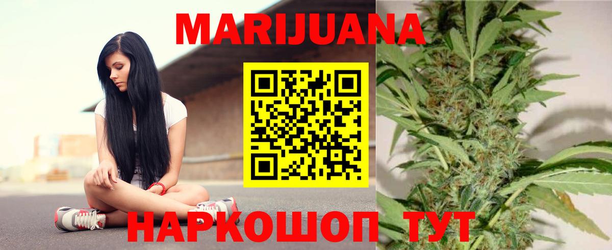 Бошки марихуана OG Kush Баксан